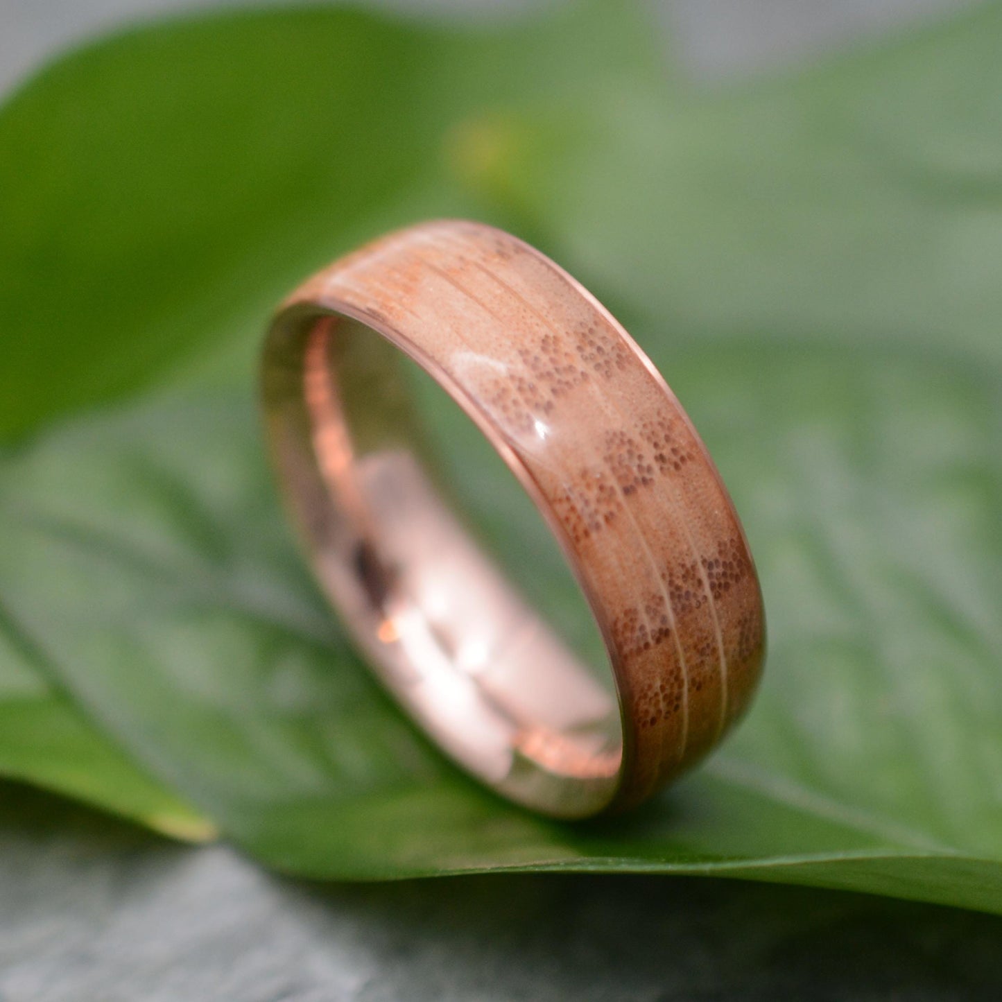 a close up of a ring on a leaf