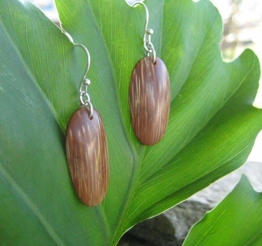 Indio Maiz Palm Tree Seed Earrings - Naturaleza Organic Jewelry & Wood Rings