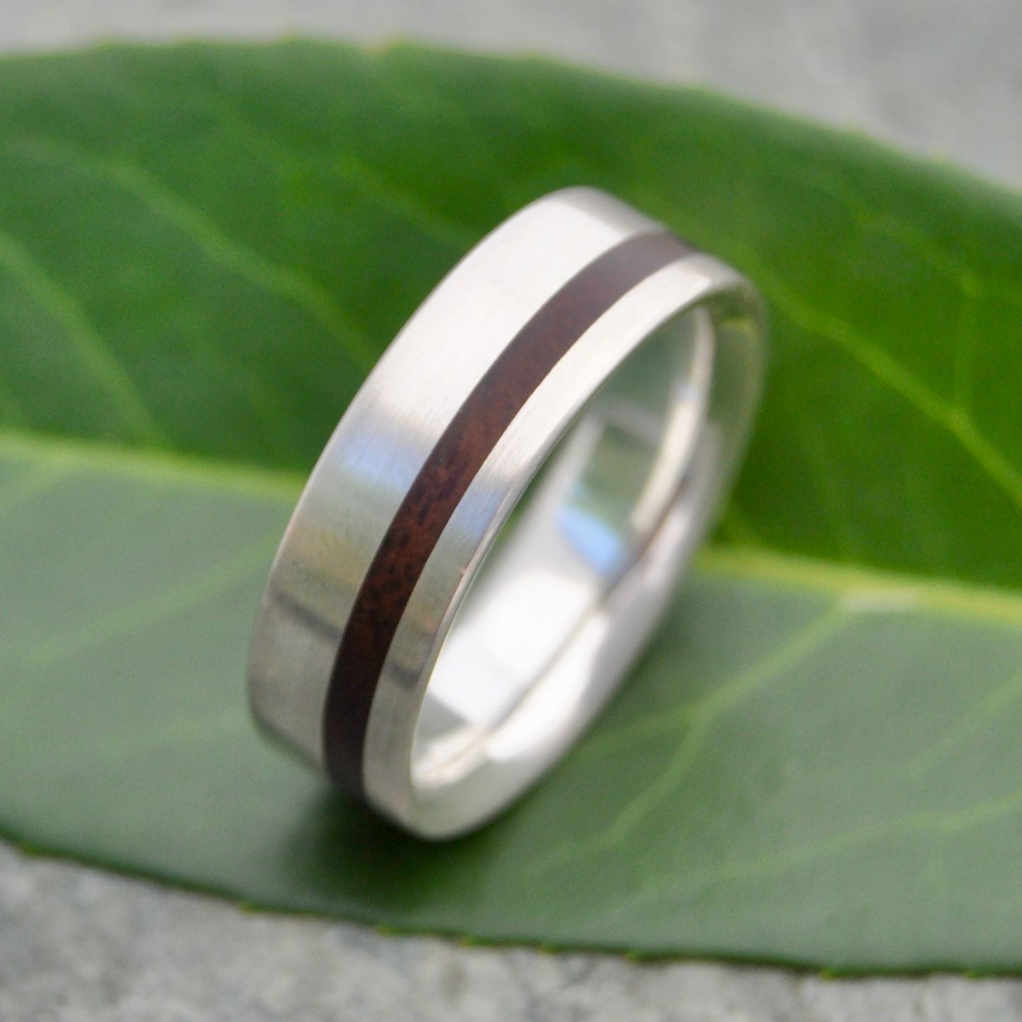 Silver and wood ring showing nacascolo wood layers and silver edges