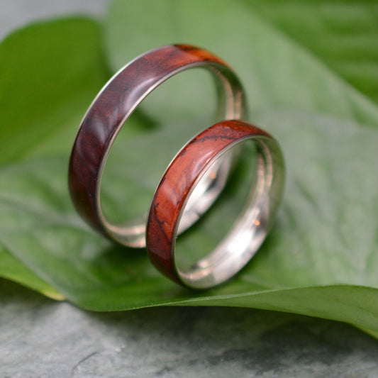 a couple of rings sitting on top of a green leaf