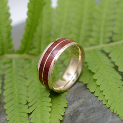 Lados Linea Cocobolo Wood Ring with  14k Yellow Gold - Naturaleza Organic Jewelry