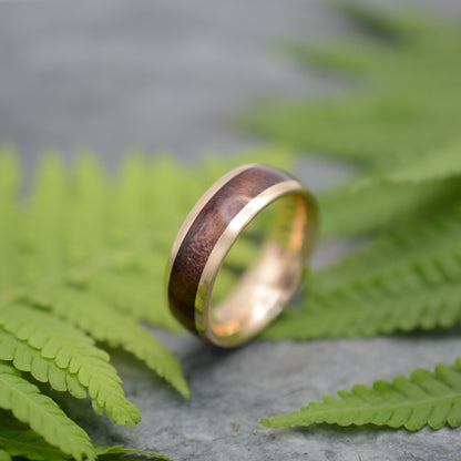 Black Walnut Wood and Gold Wedding Band with 14k Recycled Solid Gold 