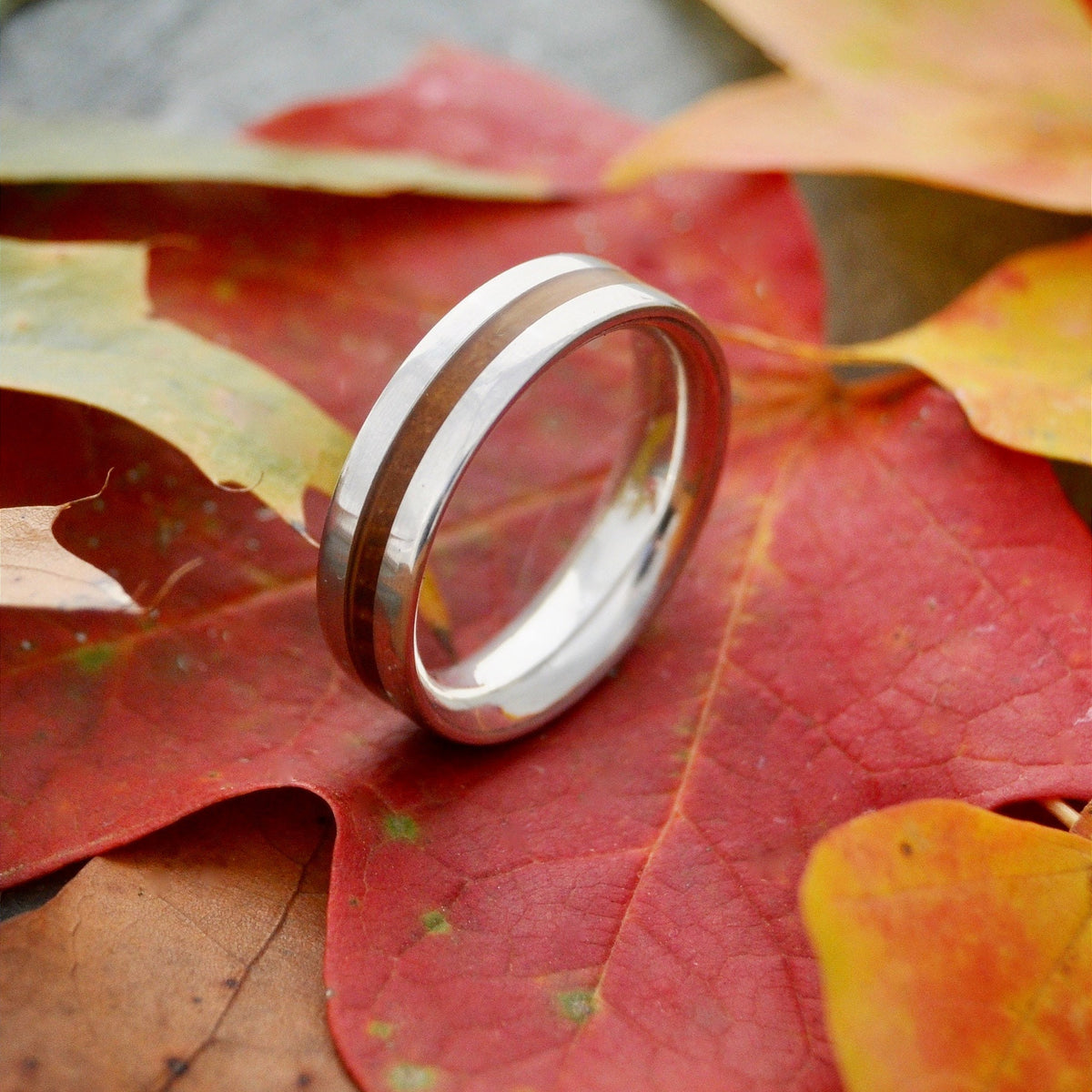 Centro Nacascolo Wood Ring on colorful autumn leaves, featuring nacascolo wood and sterling silver. Handmade in Louisville KY.