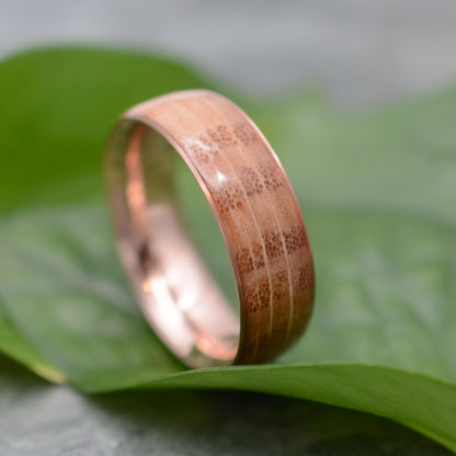 a close up of a ring on a leaf