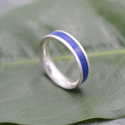 a silver ring with a blue stripe sitting on a leaf