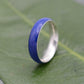 a blue ring sitting on top of a green leaf