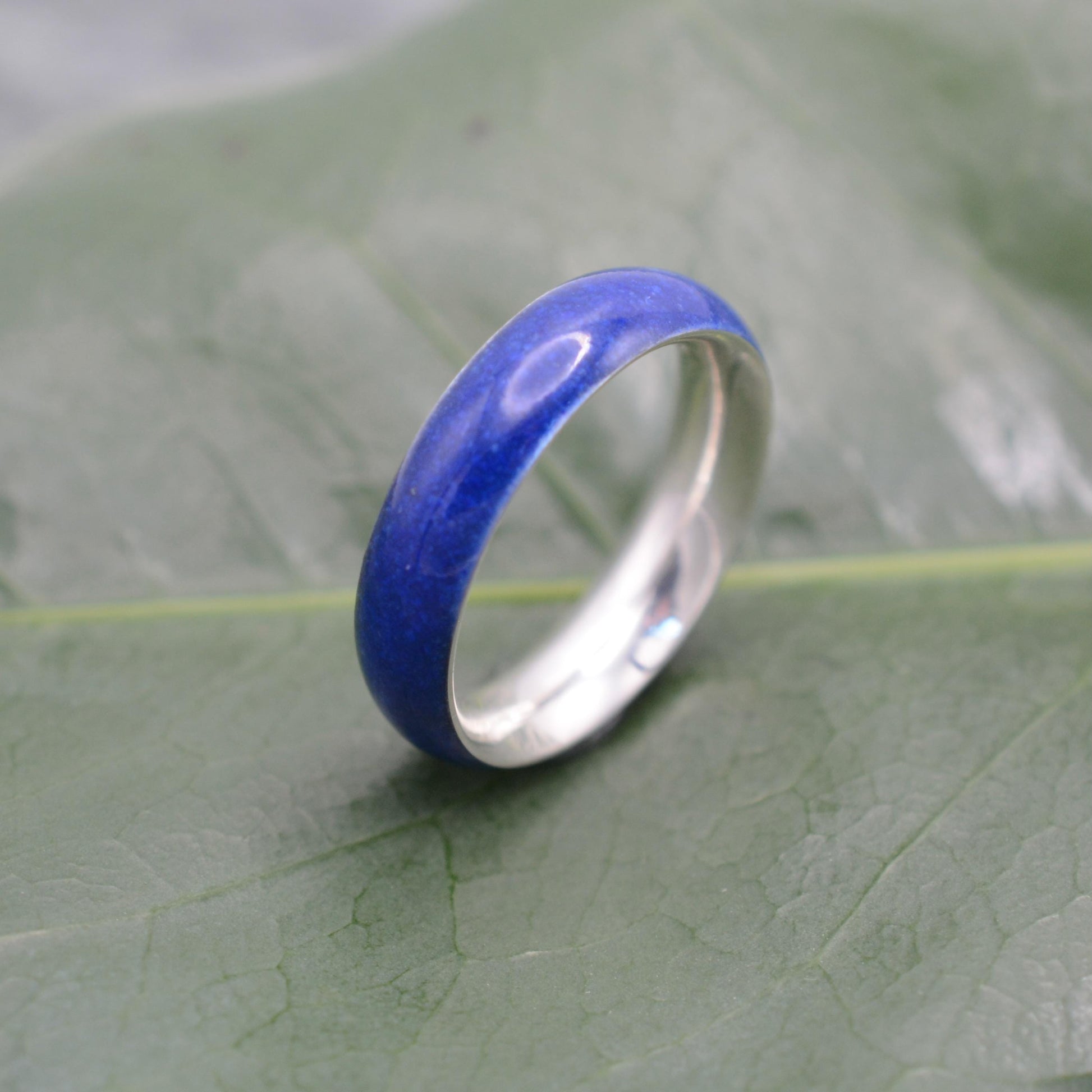 a blue ring sitting on top of a green leaf