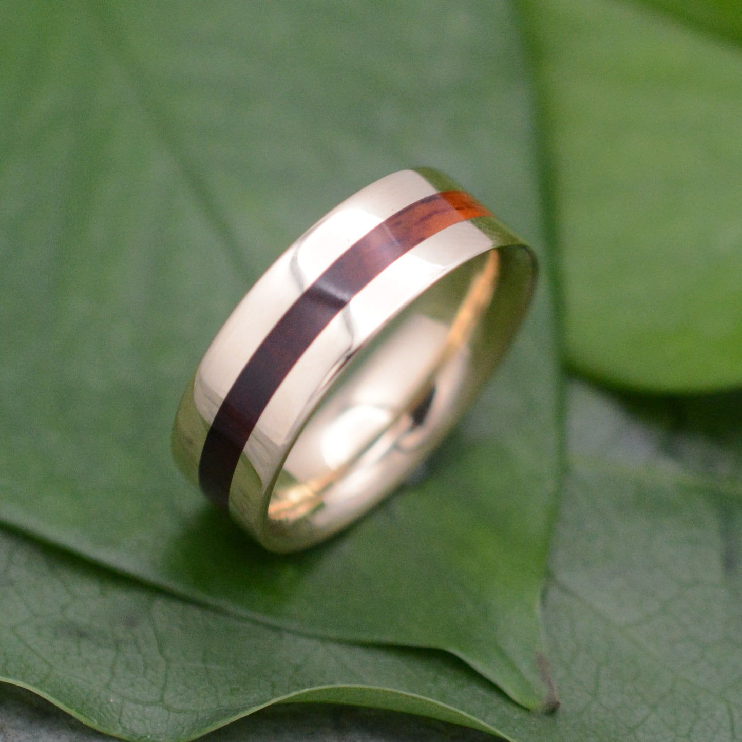 a gold ring with a red stripe on top of a green leaf