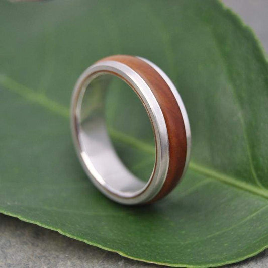 Tierra Guayacán wood ring with rounded profile and thin silver edges