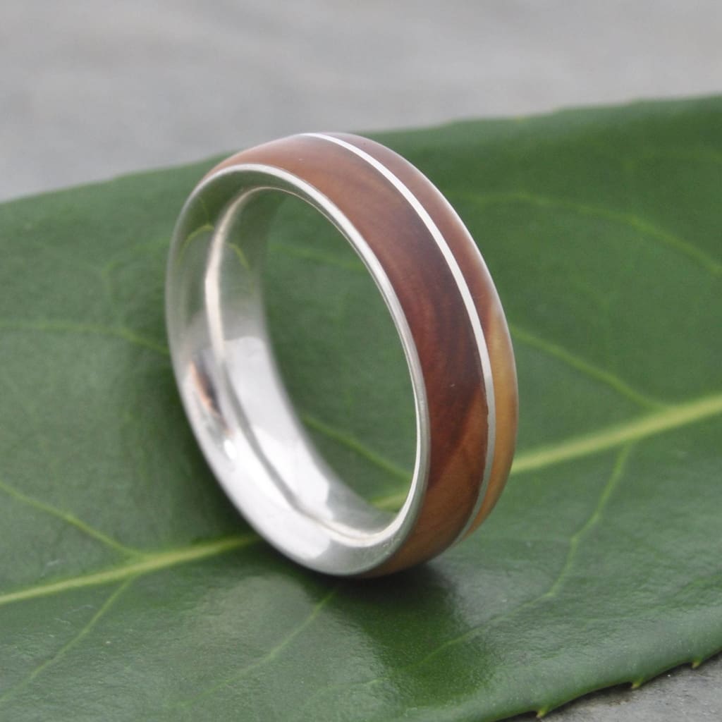 Wood and silver ring with Guayacán Lignum Vitae wood and sterling silver, Asi design