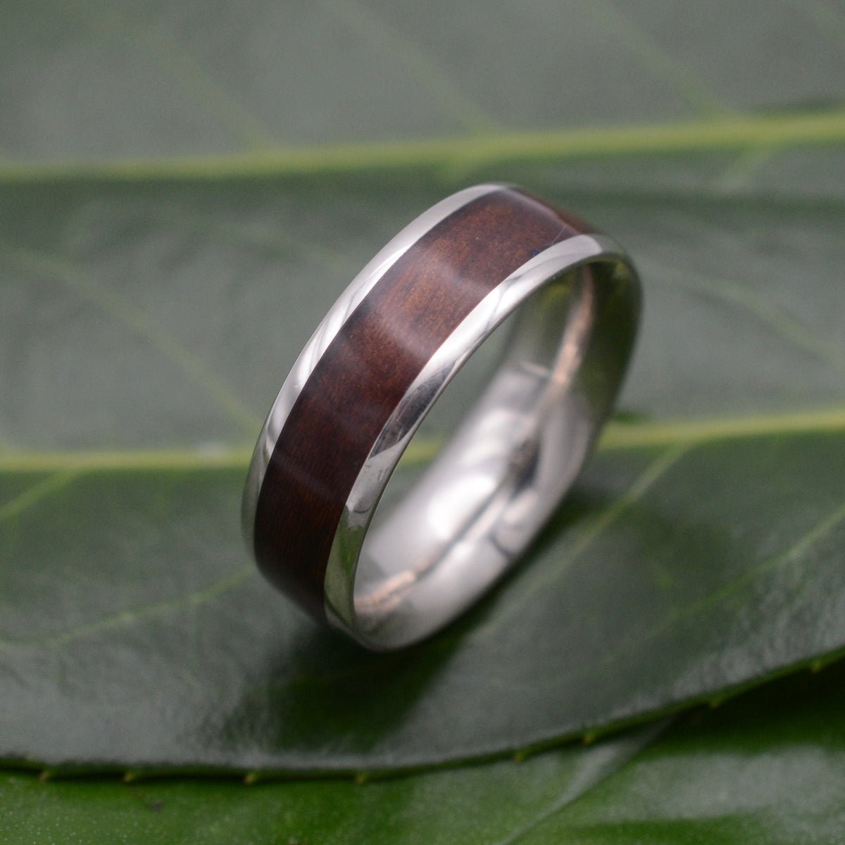 White Gold Lados Cherry Wood Ring with Round Profile, unique wood wedding band handmade in Louisville KY