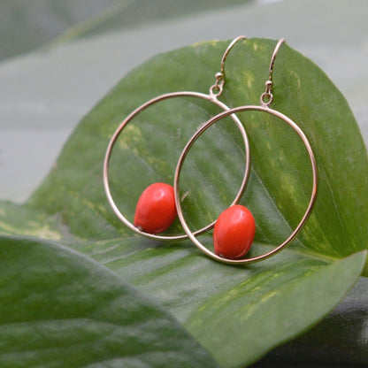 Orbit Earrings with Sandalwood Seed and Yellow Gold - circle dangle gold earrings eco friendly earrings organic earrings red earrings