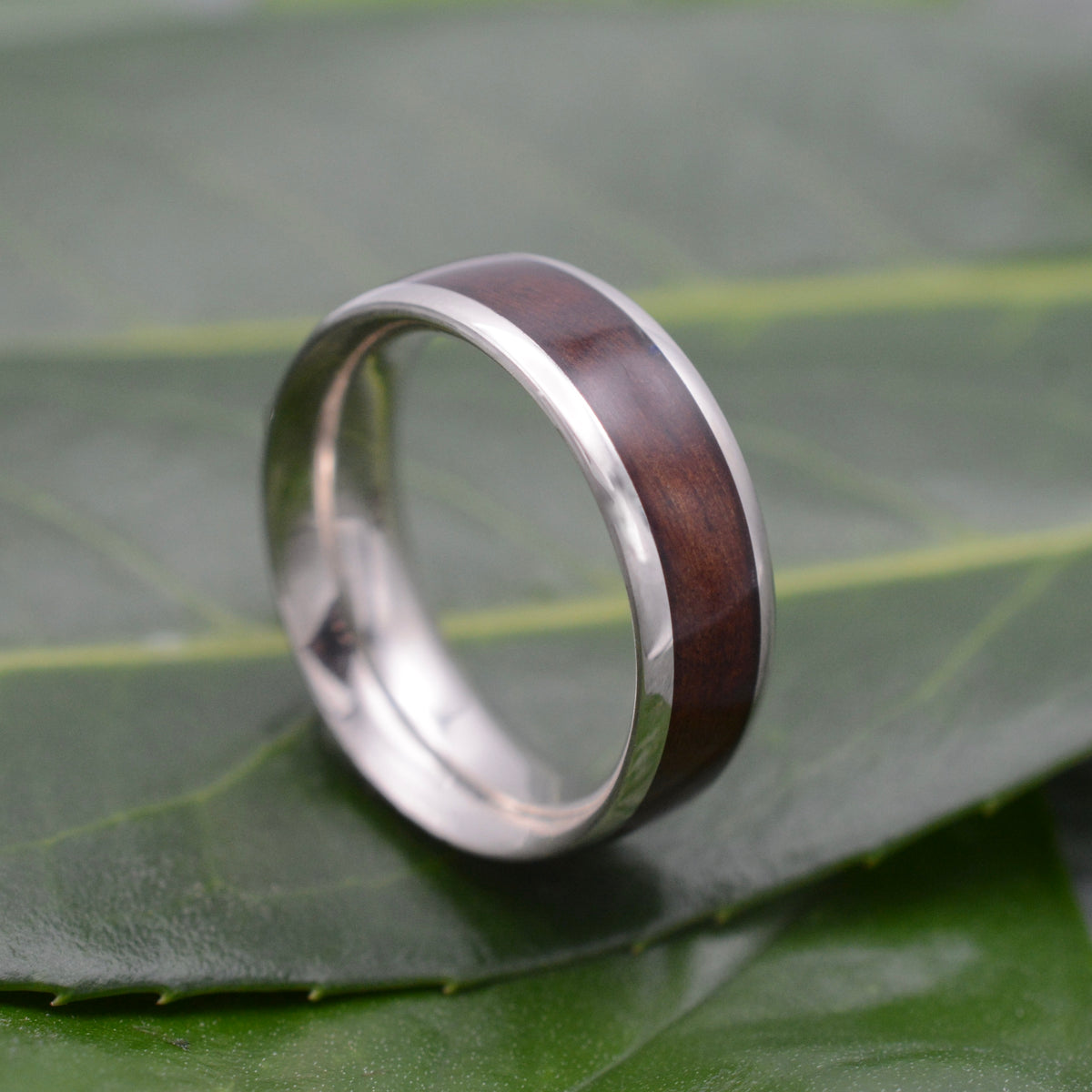White Gold Lados Cherry Wood Ring with Round Profile showcasing wood ring craftsmanship, handmade in Louisville KY.